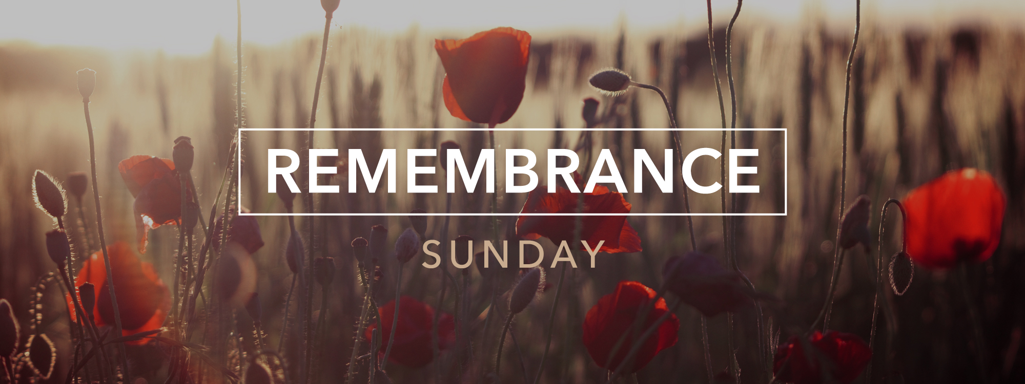 Remembrance Sunday